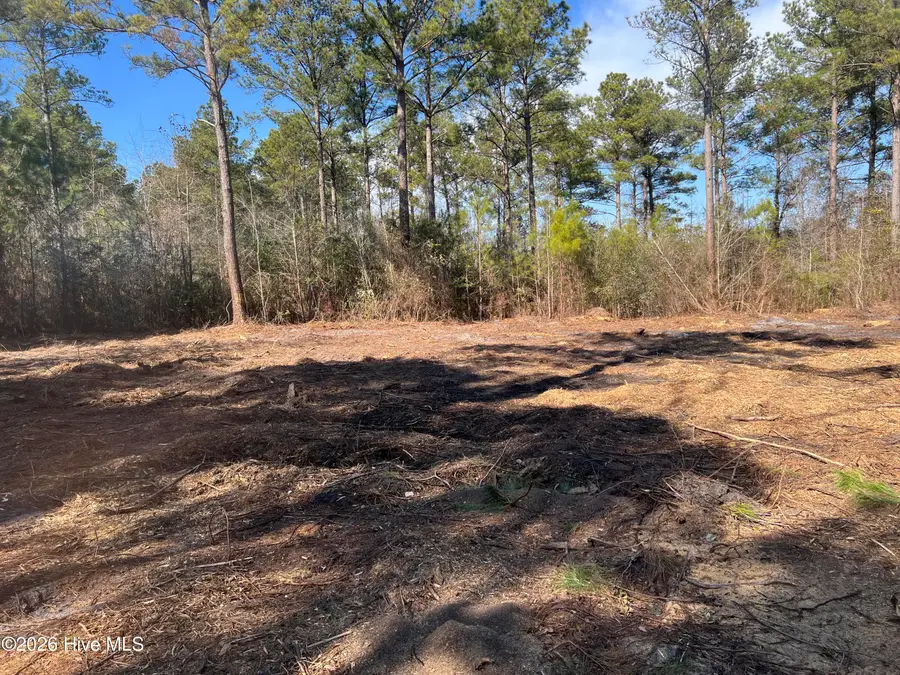 1827 Lightwood Bridge Road, Wallace, NC 28466 - #2