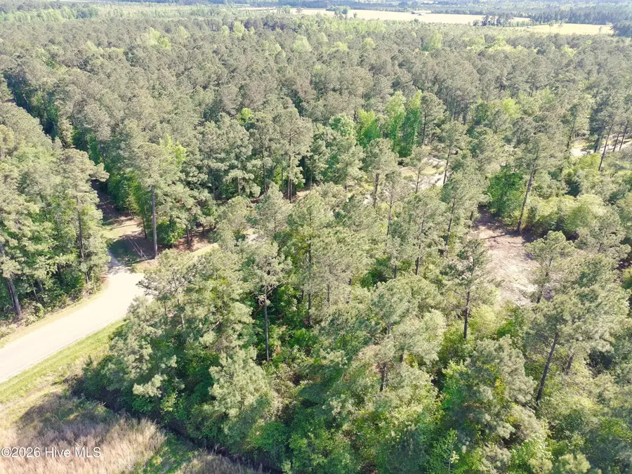 1827 Lightwood Bridge Road, Wallace, NC 28466 - #3