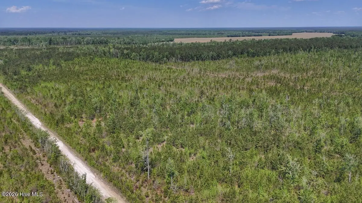 0 Guinea Mill Road, Ernul, NC 28527 - #1