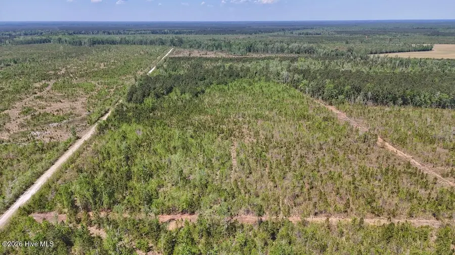 0 Guinea Mill Road, Ernul, NC 28527 - #2