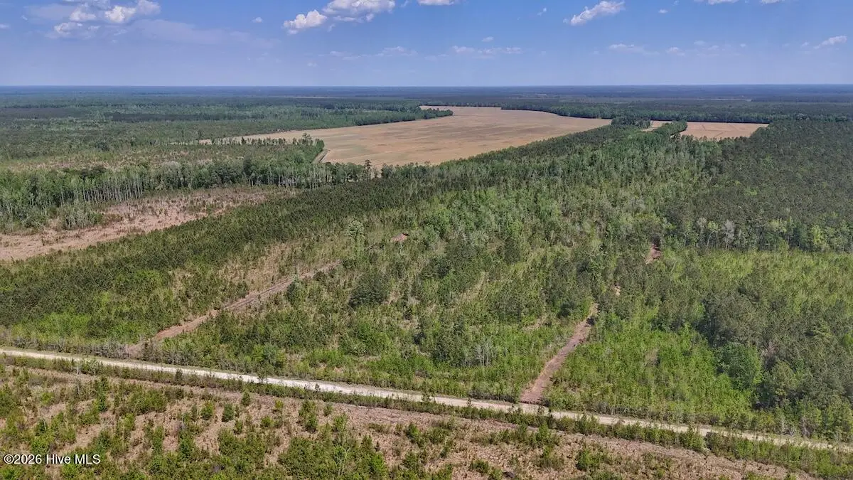 0 Guinea Mill Road, Ernul, NC 28527 - #1