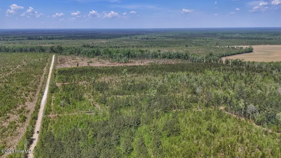 0 Guinea Mill Road, Ernul, NC 28527 - #2