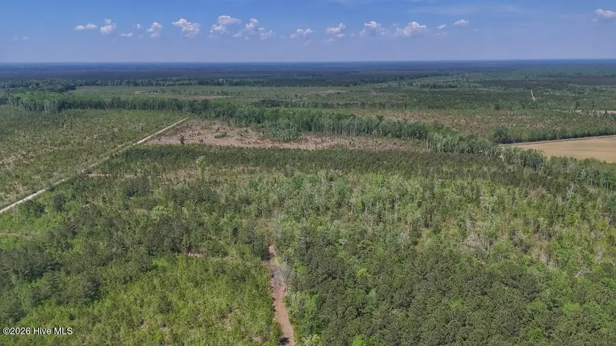 0 Guinea Mill Road, Ernul, NC 28527 - #3