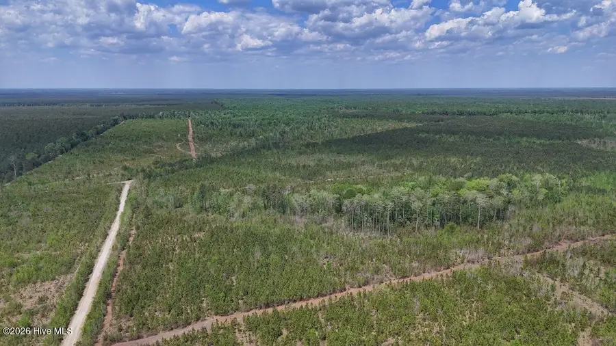 0 Guinea Mill Road, Ernul, NC 28527 - #2