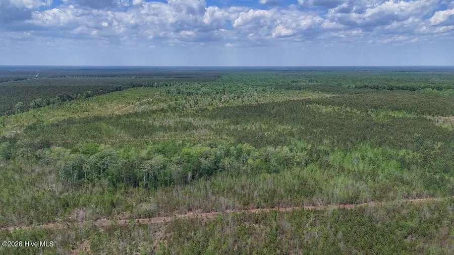 0 Guinea Mill Road, Ernul, NC 28527 - #3