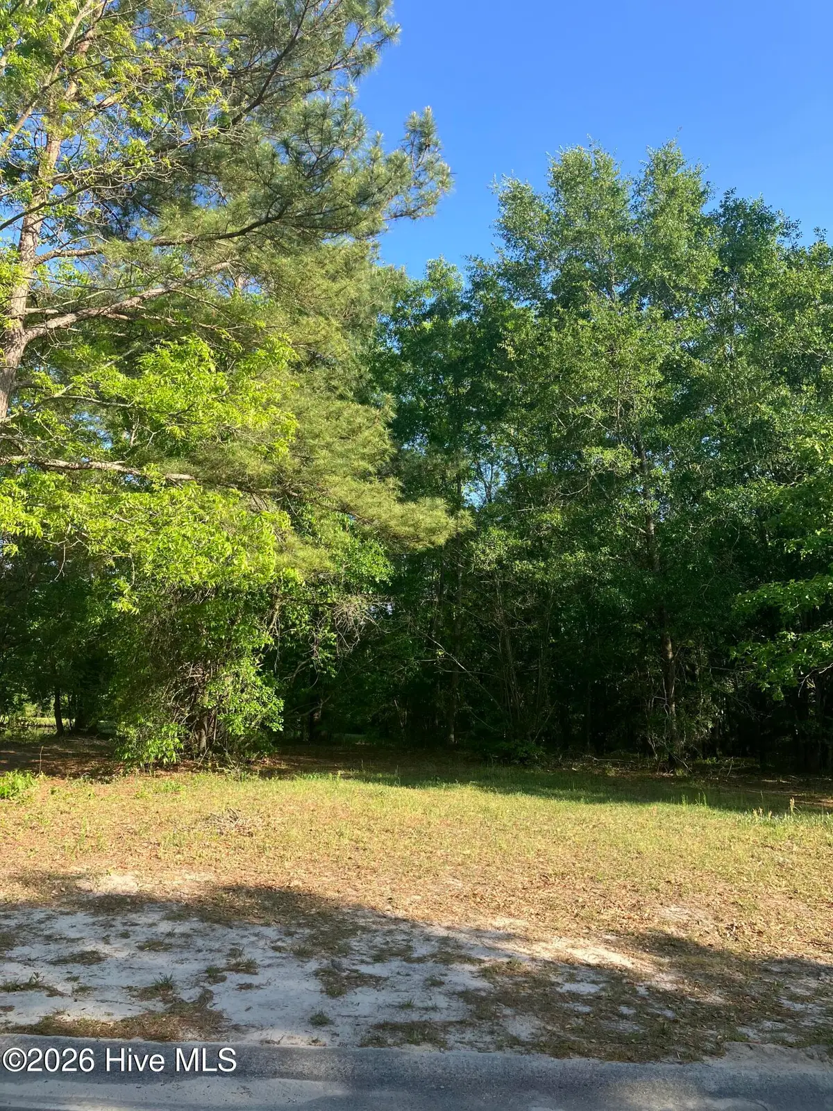 227 River Ridge Drive, Wallace, NC 28466 - #1