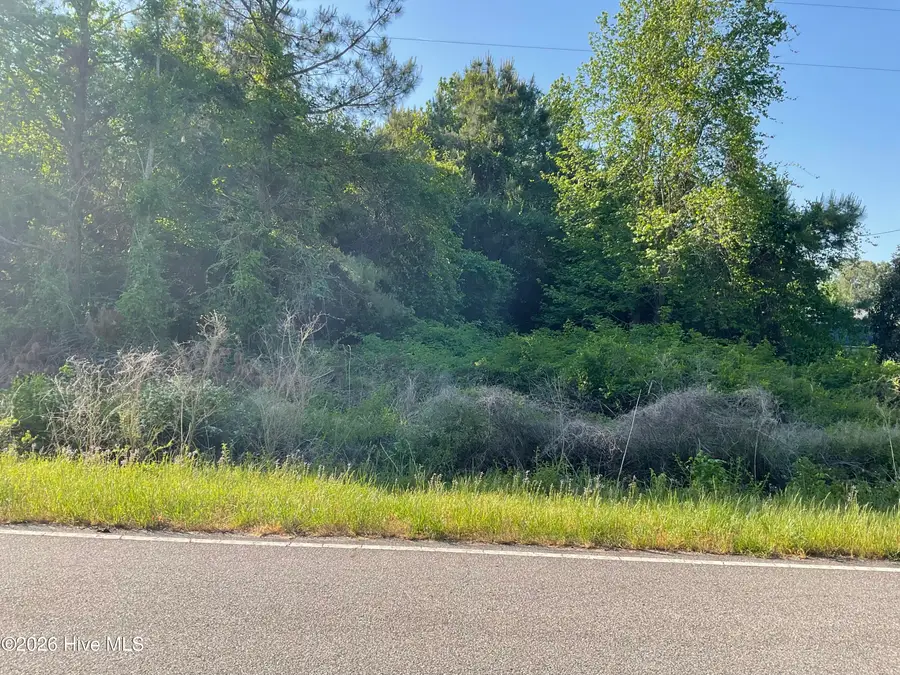 0 Bull Tail Road, Wallace, NC 28466 - #3