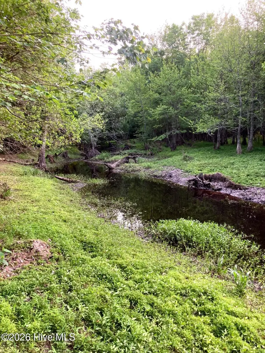 000 Harrell Road, Burgaw, NC 28425 - #3