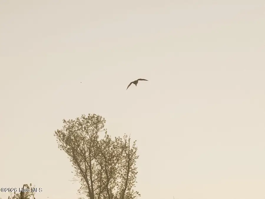 0 Durwood Evans Road, Beulaville, NC 28518 - #3