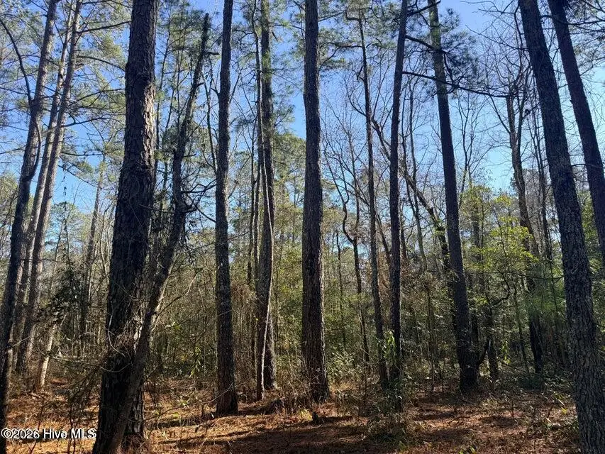 Lot 4 Peach Court, Burgaw, NC 28425 - #2