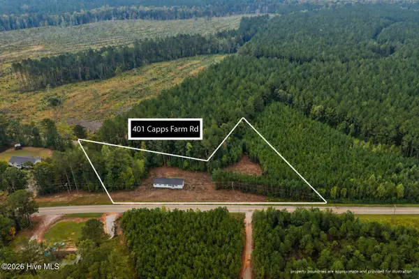 401 Capps Farm Road, Hollister, NC 27844