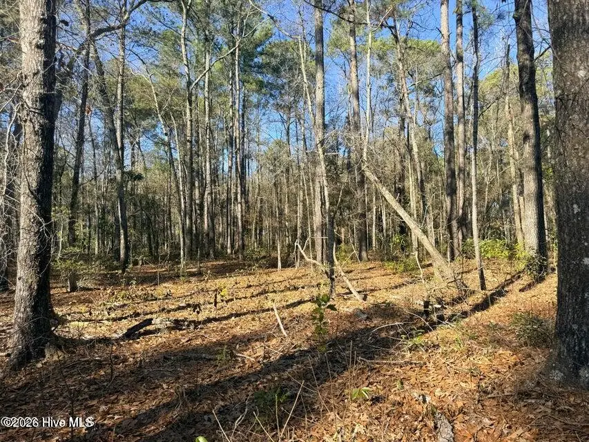 Lot 6 Peach Court, Burgaw, NC 28425 - #3