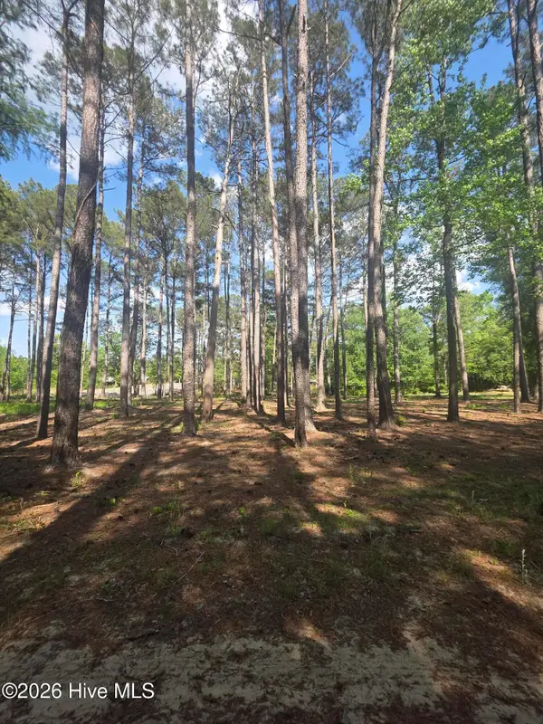 Lot #47 Juniper Lane, Currie, NC 28435