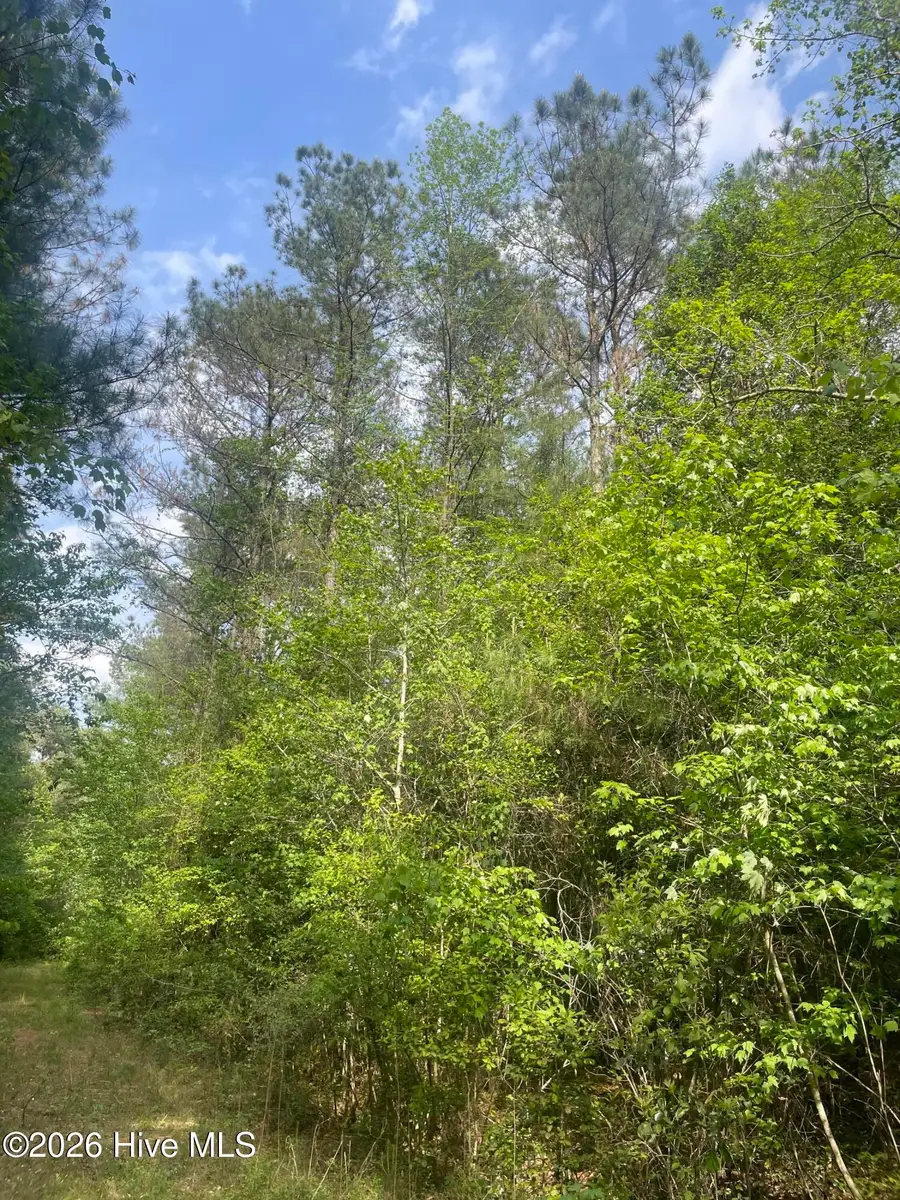 010 Bobby Hope Road, Delway, NC 27458 - #2