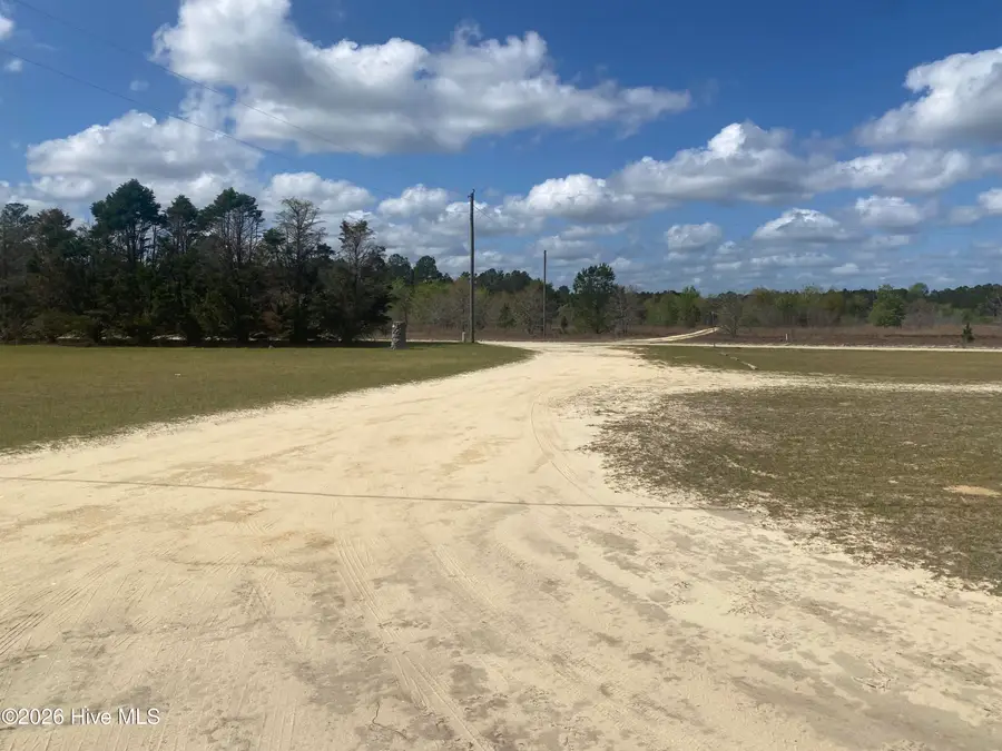 37 River Ridge Lane, Harrells, NC 28444 - #2