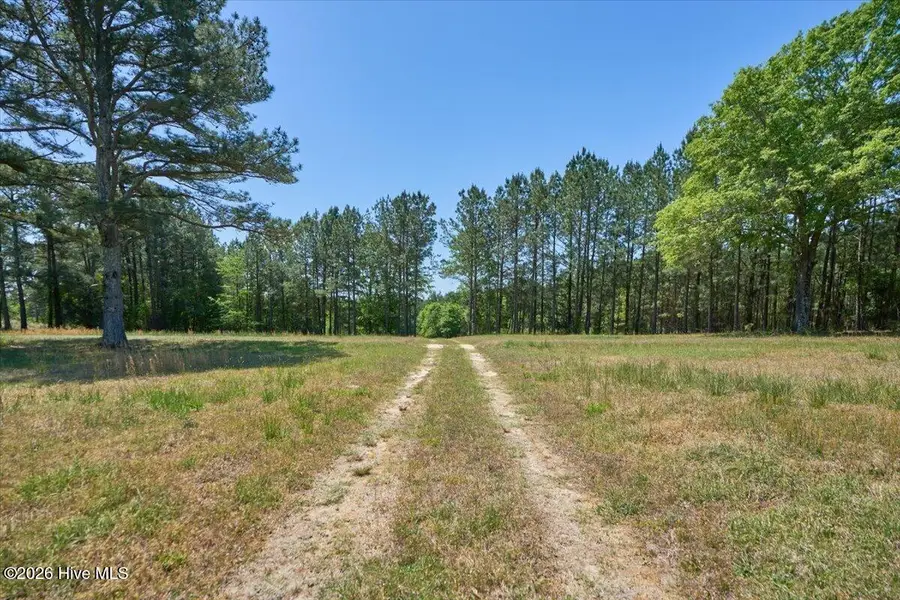 510 Carys Lane, West End, NC 27376 - #3