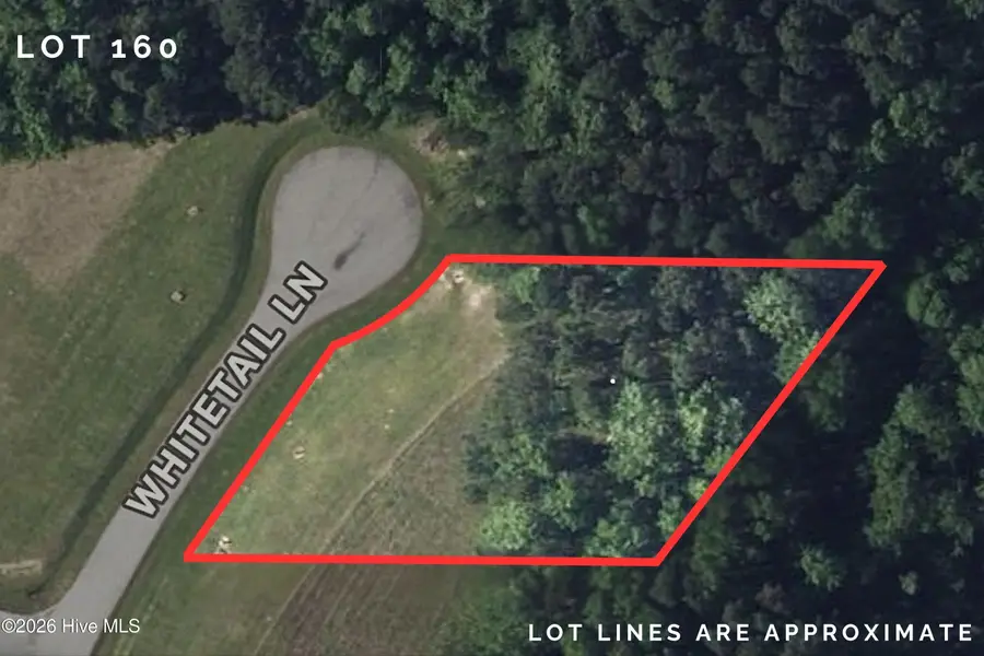 58 Whitetail Lane, Minnesott Beach, NC 28510 - #2