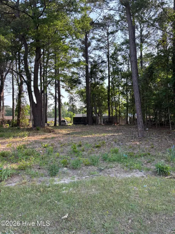 Lot #4 Us 264, Washington, NC 27889