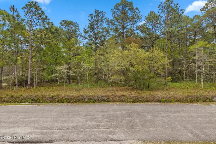 3 Deer Run Road Sw, Carolina Shores, NC 28467 - #2