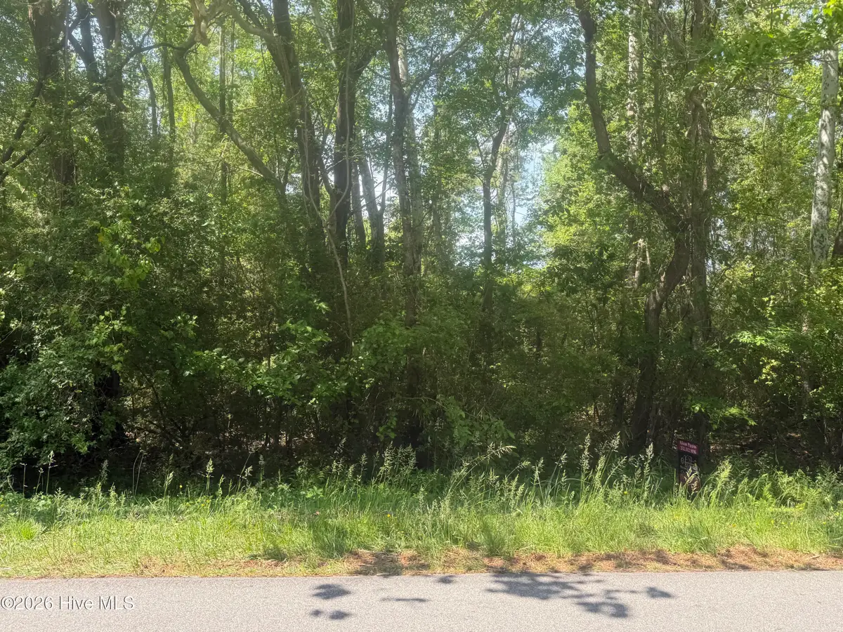 218 Colony Drive, Edenton, NC 27932 - #1