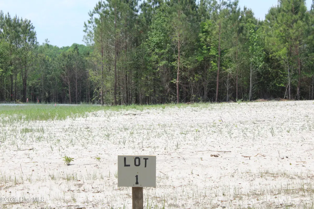 106 Southerland Road, Magnolia, NC 28453 - #1