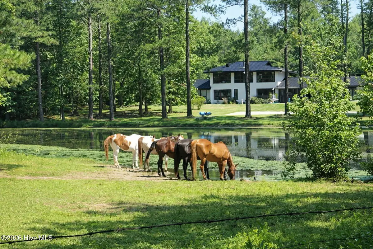 171 Dobbins Lane, Rockingham, NC 28379 - #1