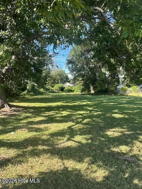 112 N Lee Street, Whiteville, NC 28472