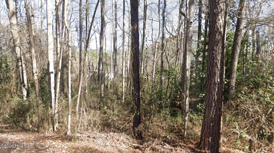 1669 Rainey Drive, Spring Lake, NC 28390 - #2