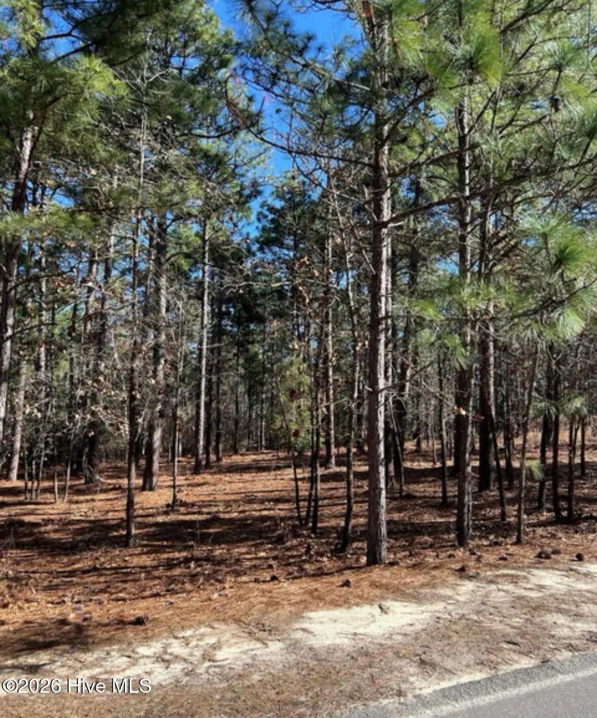 14 Kilbride Drive, Pinehurst, NC 28374 - #1