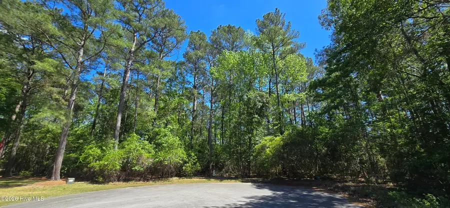 L-1 S-N Palmer Drive, Shallotte, NC 28470 - #2