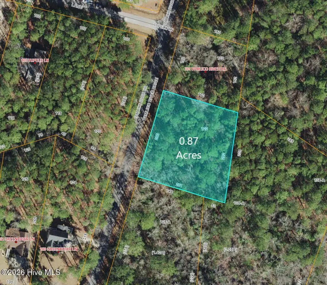 411 Pamlico River Drive, Washington, NC 27889 - #1