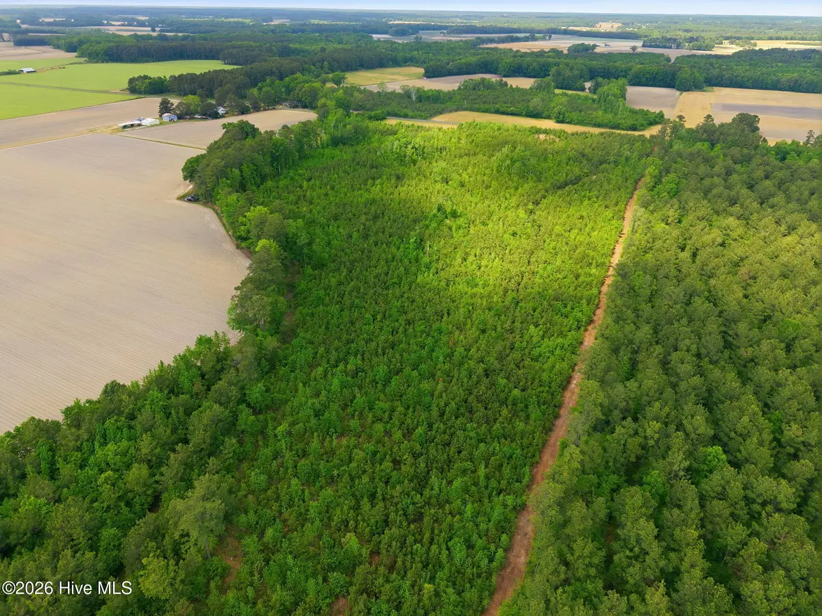 2733 Jim Taylor Road, Stokes, NC 27884 - #1