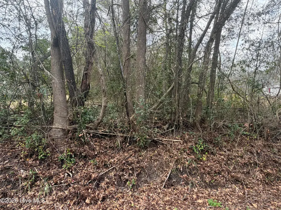 0000 Green Loop Road Ne, Leland, NC 28451 - #3