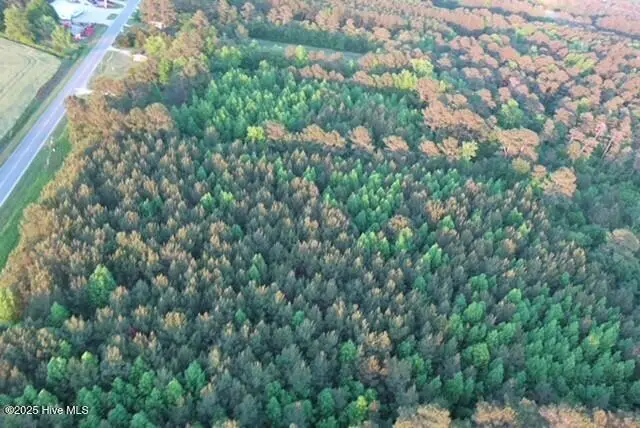 53 Nc Hwy 53, Burgaw, NC 28425 - #2