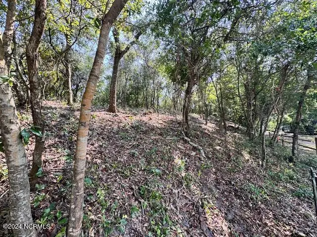 9b W Ridge, Surf City, NC 28445 - #1