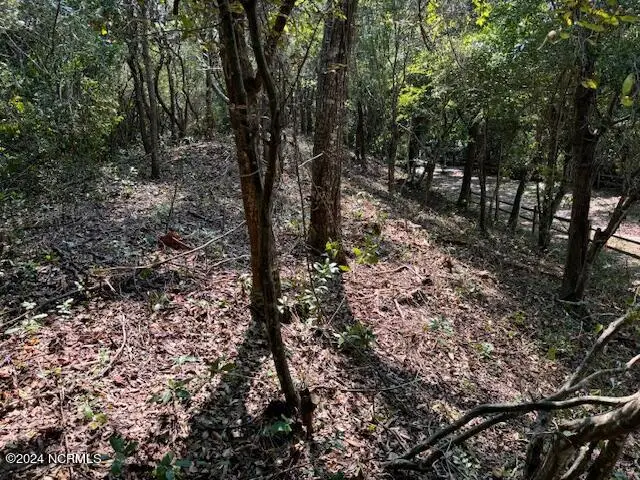 9b W Ridge, Surf City, NC 28445 - #2