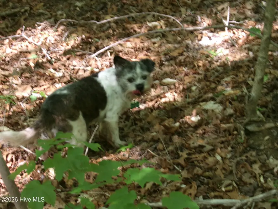 1688 Harrison Road, Nashville, NC 27856 - #3