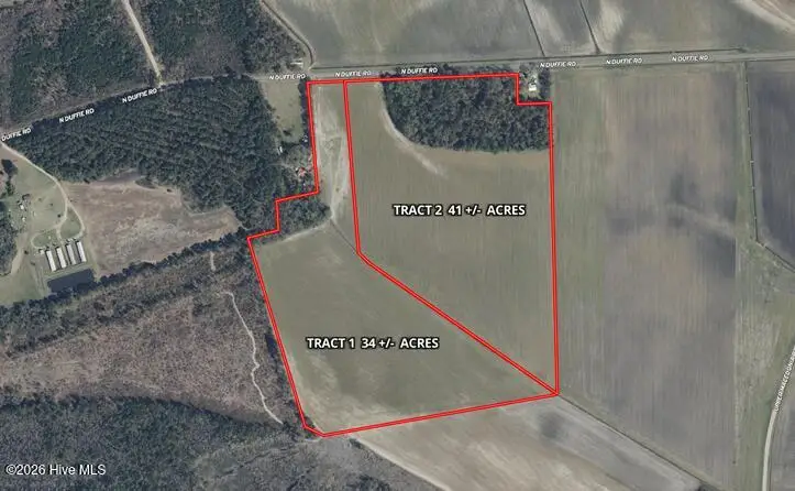 Tbd N Duffie Road, Red Springs, NC 28377 - #2