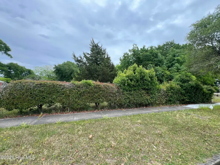 1223 S 8th Street, Wilmington, NC 28401 - #2