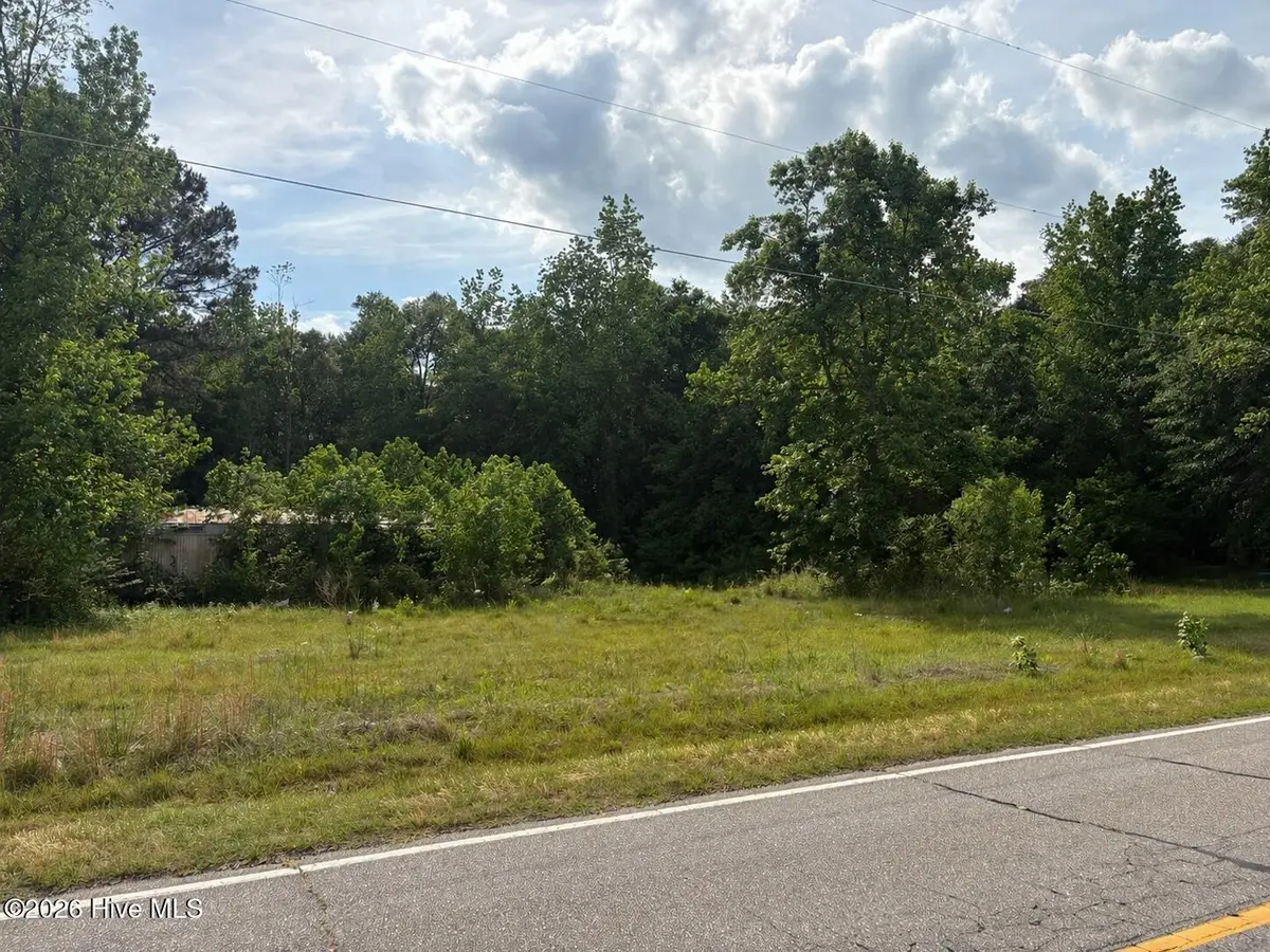 13261 Old Mccoll Road, Gibson, NC 28343 - #1