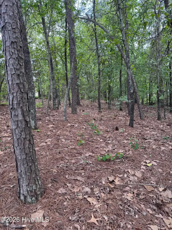 148 Otter Drive, Seven Lakes, NC 27376