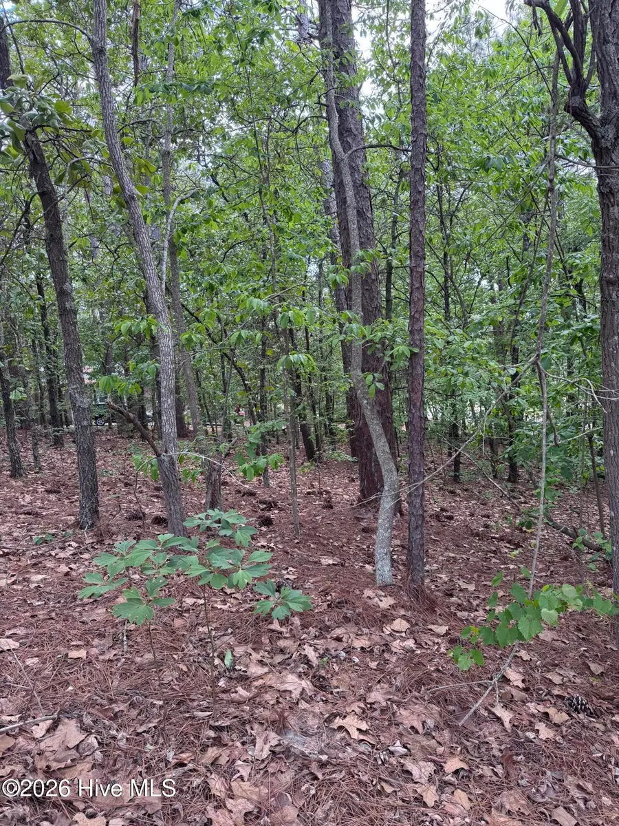 148 Otter Drive, Seven Lakes, NC 27376 - #3