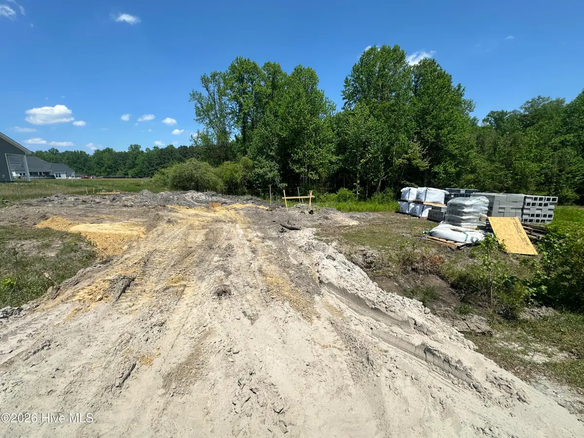 131 Dallas Drive, Beulaville, NC 28518 - #1
