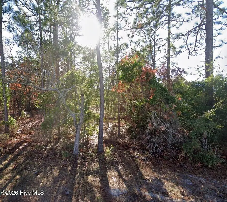 Lot 6 Ash Road, Boiling Spring Lakes, NC 28461 - #3