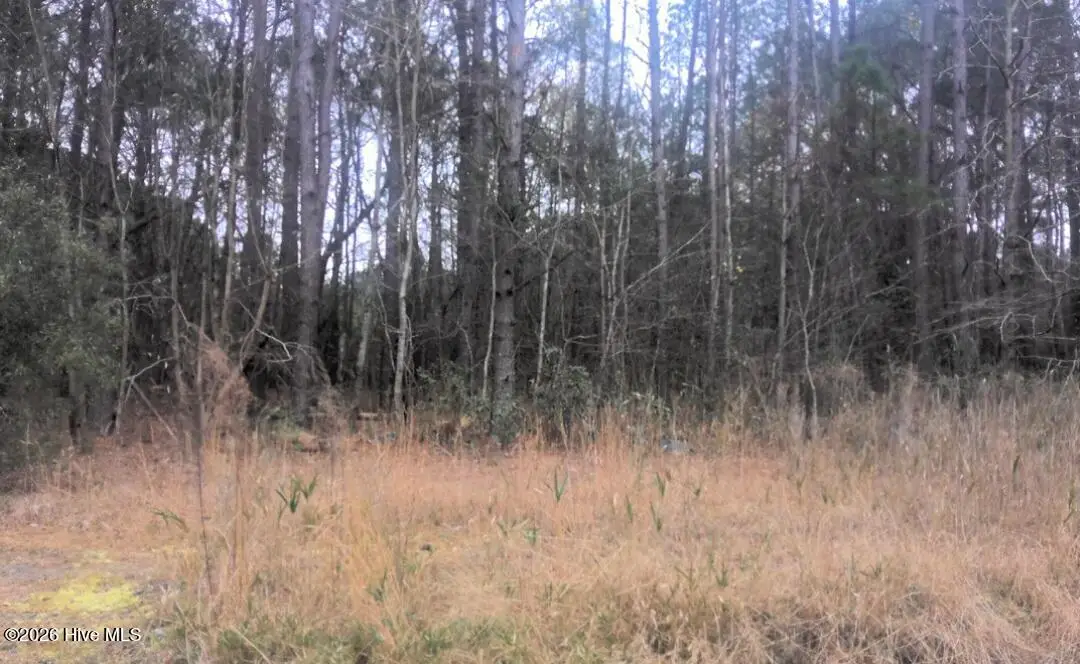 55 Mable Street, Kinston, NC 28504 - #1