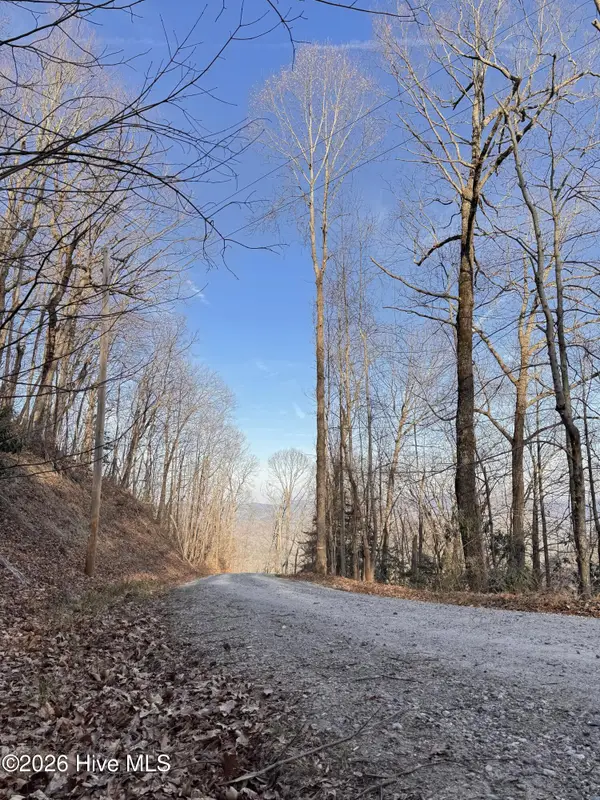 16 & 17 Ridgecrest Drive, Lake Lure, NC 28746