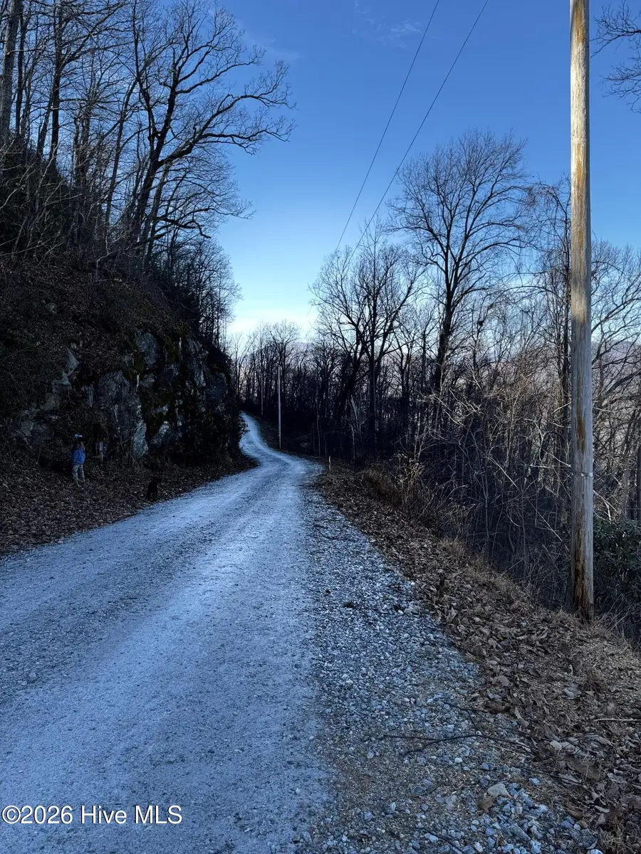 16 & 17 Ridgecrest Drive, Lake Lure, NC 28746 - #2