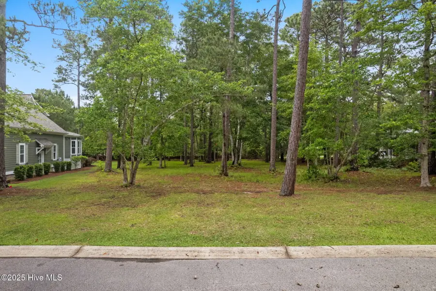 310 Bay Hill Court, Shallotte, NC 28470 - #2