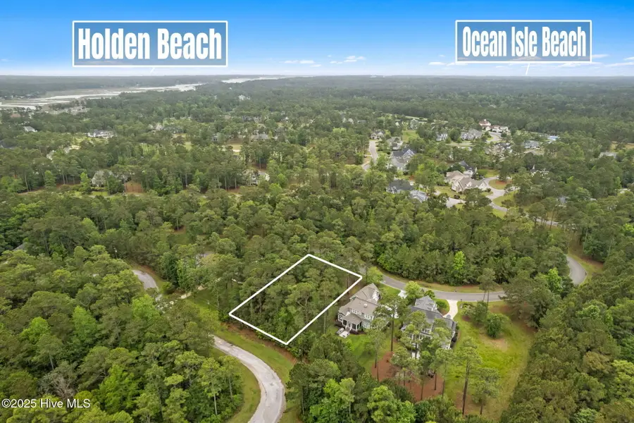 310 Bay Hill Court, Shallotte, NC 28470 - #3
