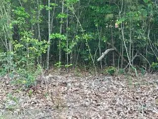 125 Mockingbird Lane, Hollister, NC 27844